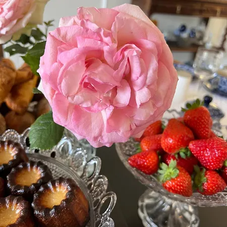 Lägenhet L'appart' *