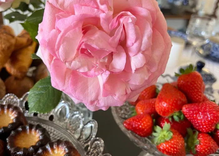 Apartmán L'appart' *